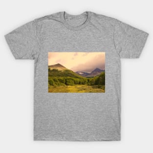 Patagonia heathland in Ushuaia T-Shirt